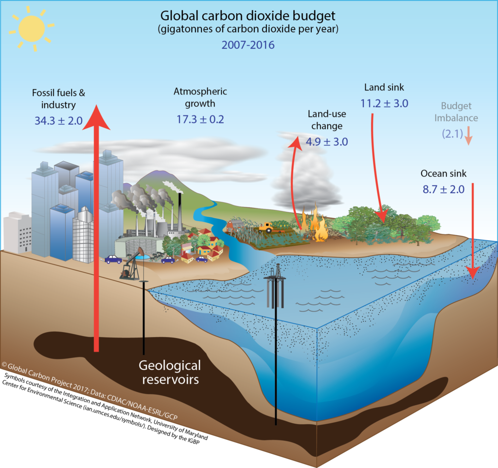 the-carbon-cycle-tyredsouth